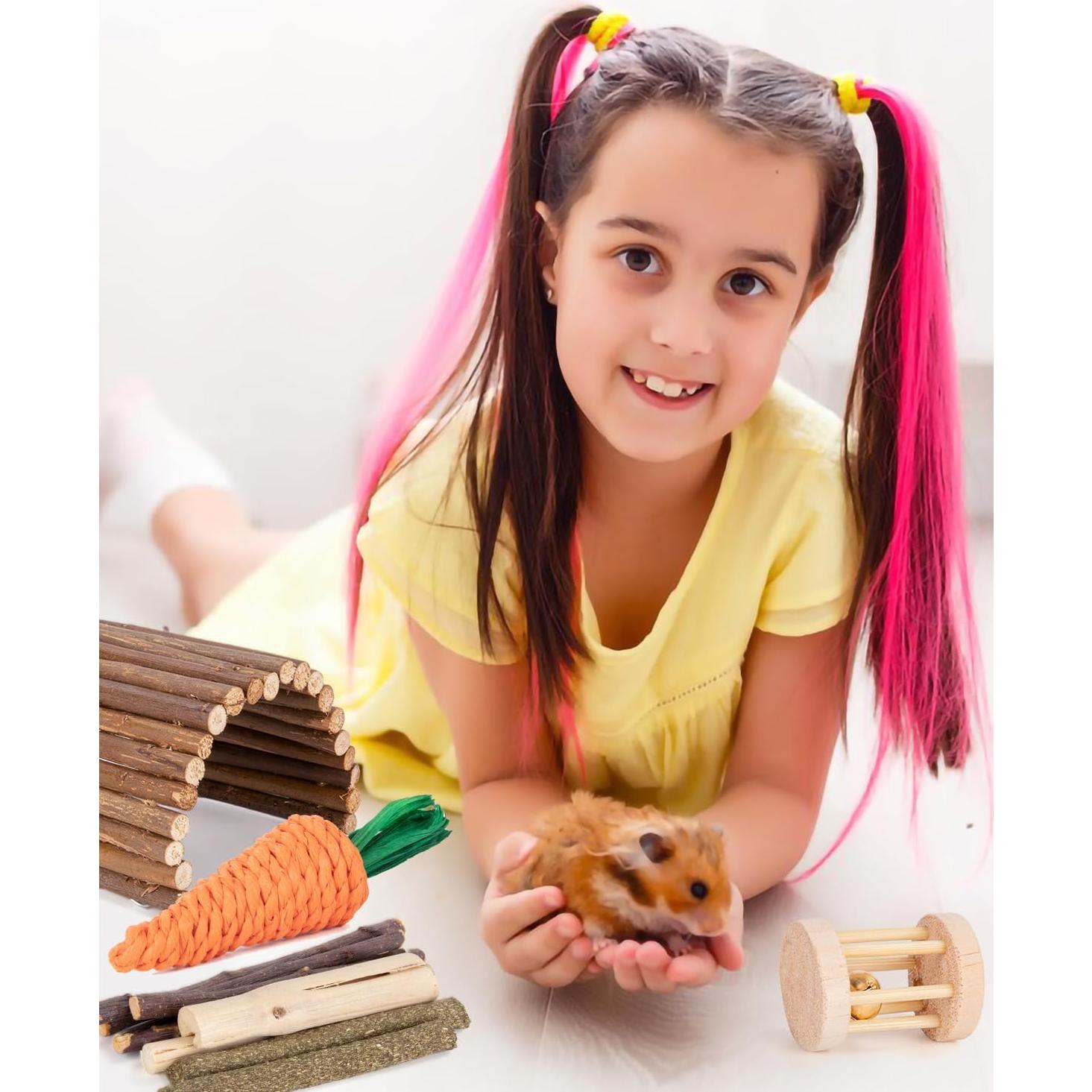 Accesorios para hámster y cobaya Sofier - Juguetes Naturales