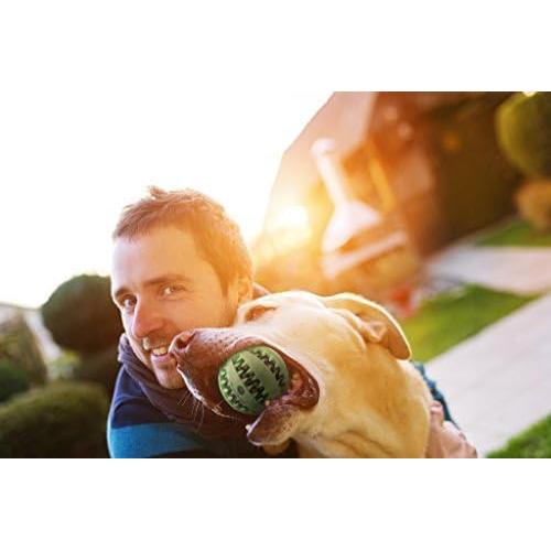 Pelota Masticable SunGrow para Conejos y Mascotas 7 cm