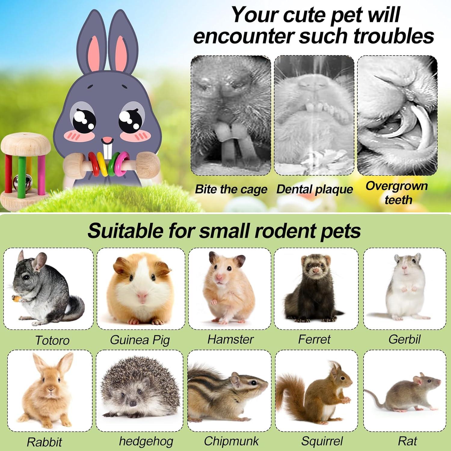 15 Juguetes para Conejos y Roedores EVISWIY - Madera Natural