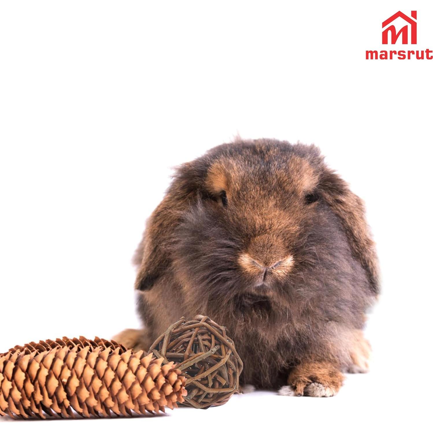 9 Bolas de Mimbre Natural para Mascotas - Juguetes de Masticar