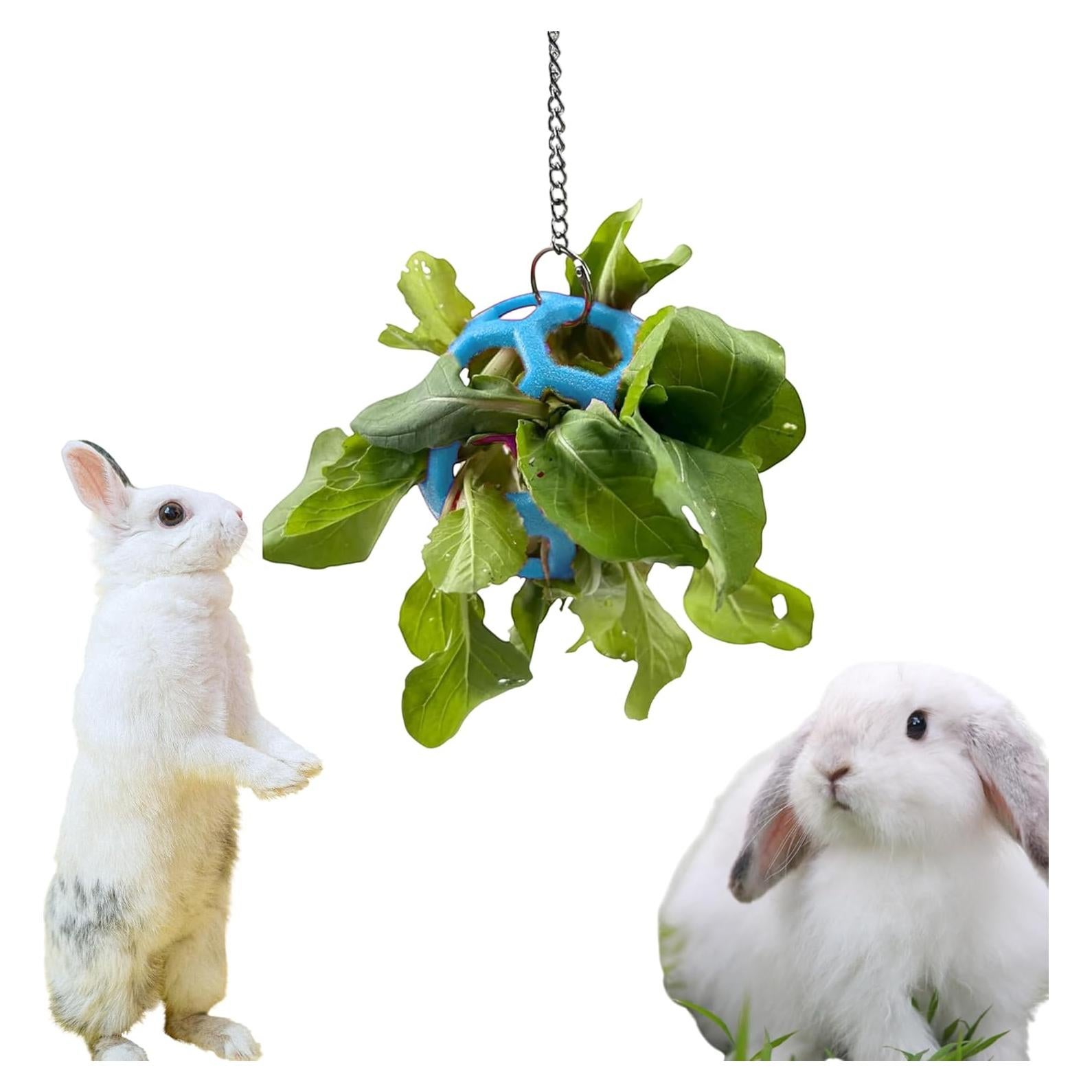 Pelota de Golosinas para Conejos Homedy 9cm Azul