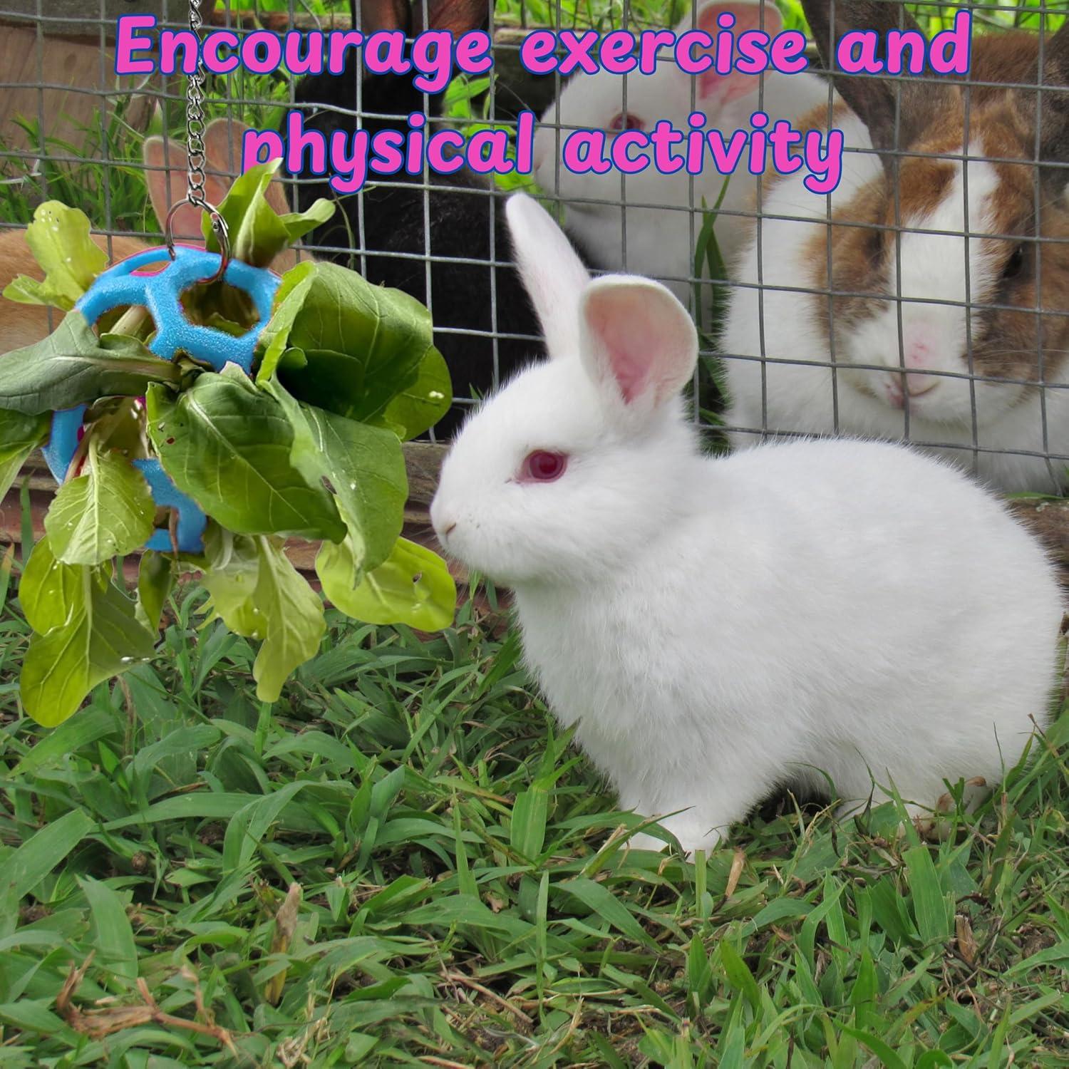 Pelota de Golosinas para Conejos Homedy 9cm Azul