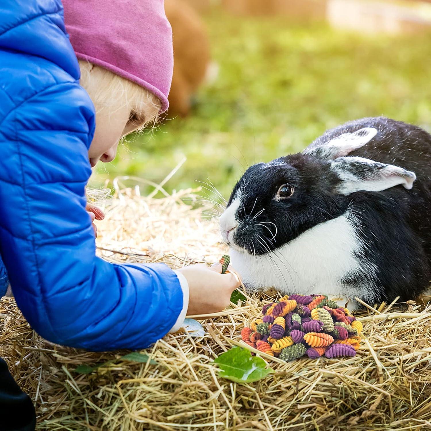 Golosinas Masticables para Conejos ERKOON 200g - Natural y Saludable