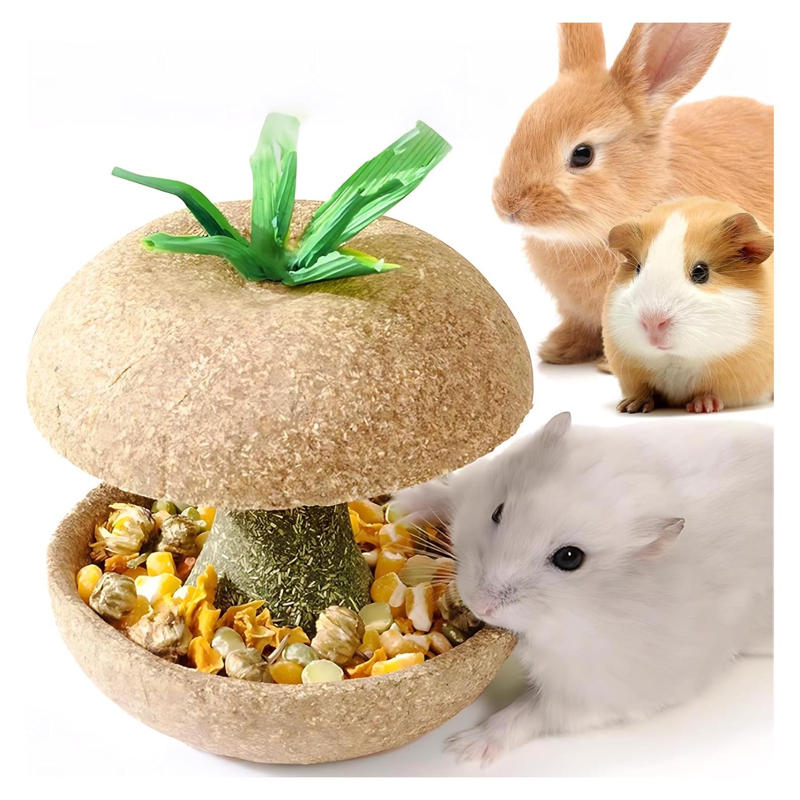 Juguete para Roer de Hámster Mini&Moe Núcleo de Manzana 7.87cm