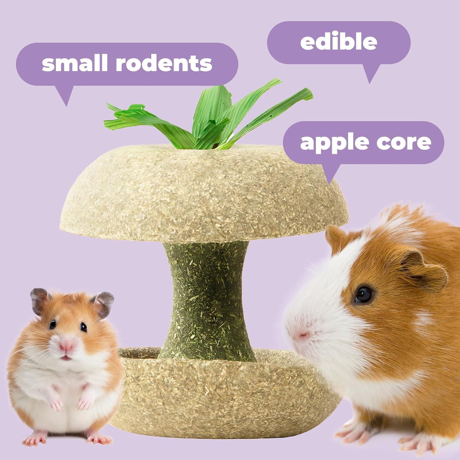 Juguete para Roer de Hámster Mini&Moe Núcleo de Manzana 7.87cm