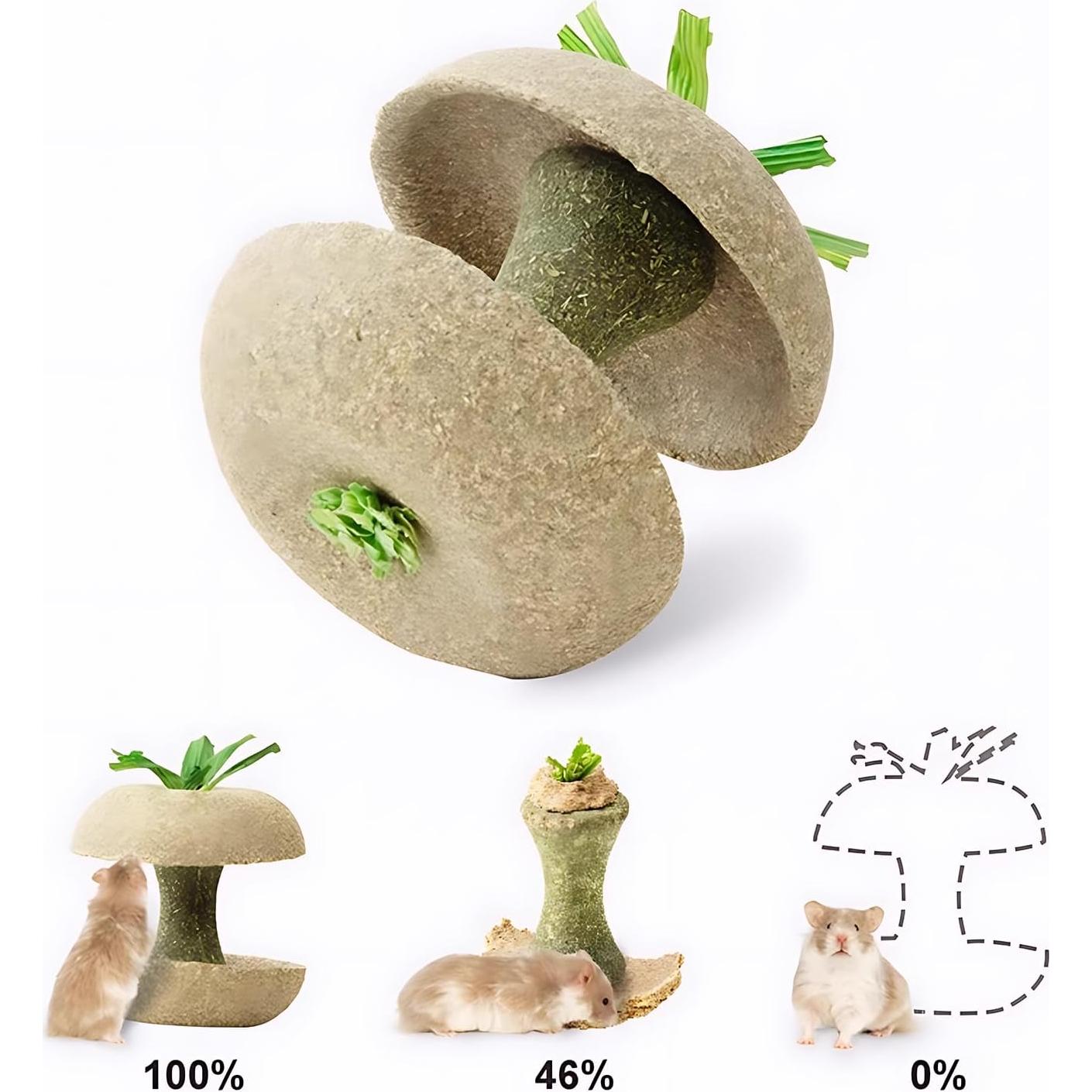 Juguete para Roer de Hámster Mini&Moe Núcleo de Manzana 7.87cm