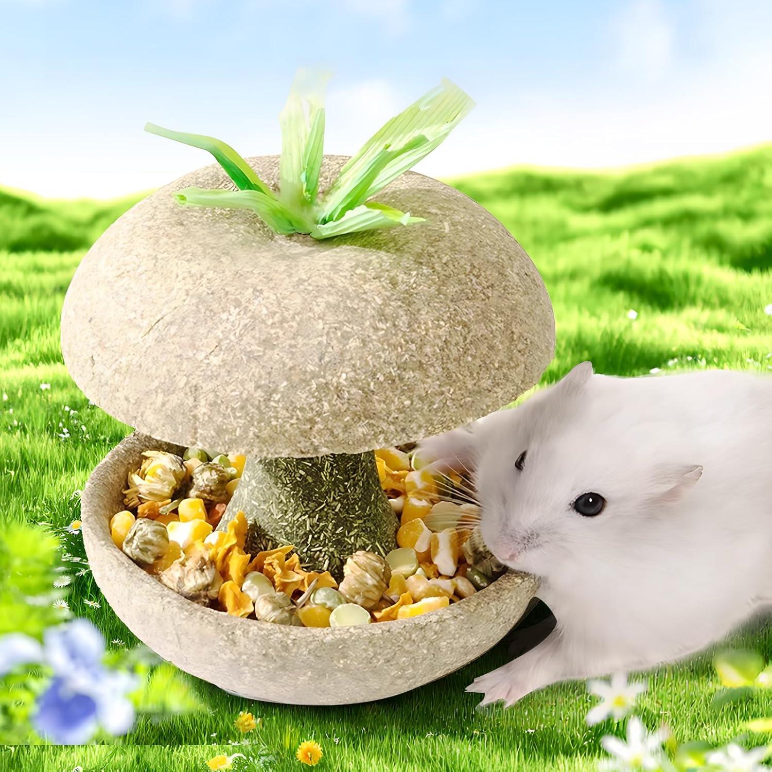 Juguete para Roer de Hámster Mini&Moe Núcleo de Manzana 7.87cm