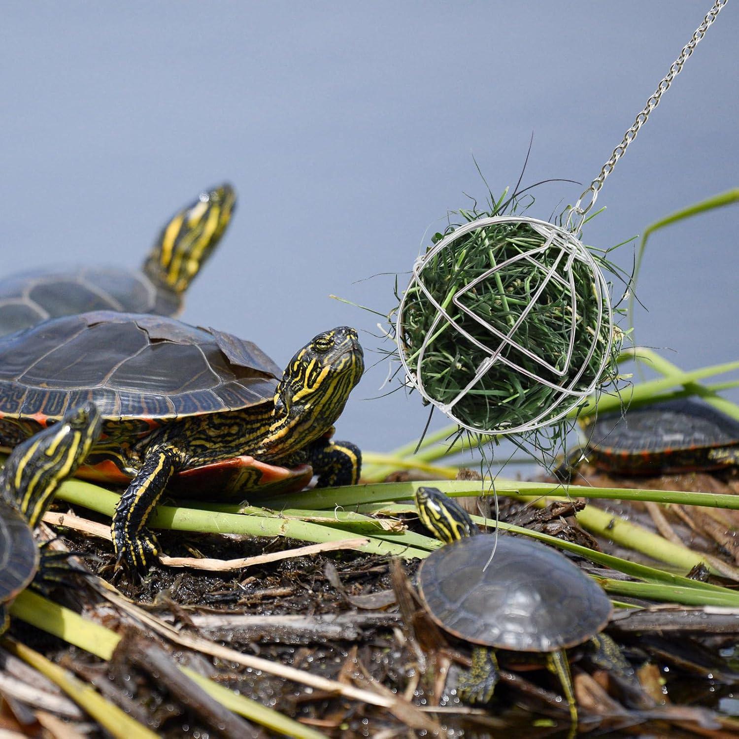 Alimentador de Golosinas para Tortugas Neeenn 11.94 cm Acero Inoxidable