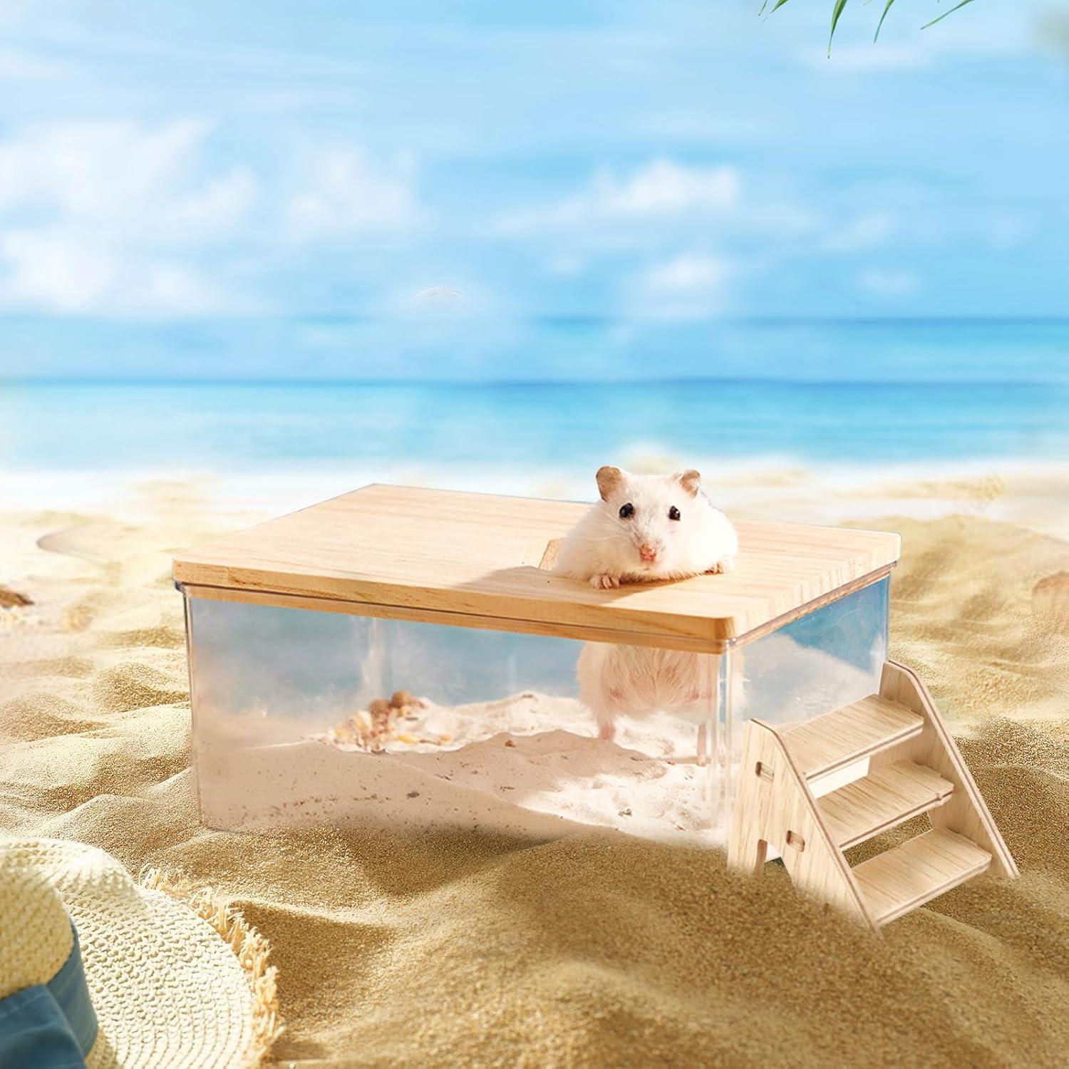 Contenedor de Baño de Arena para Hámster Guleite Rectángulo Pequeño