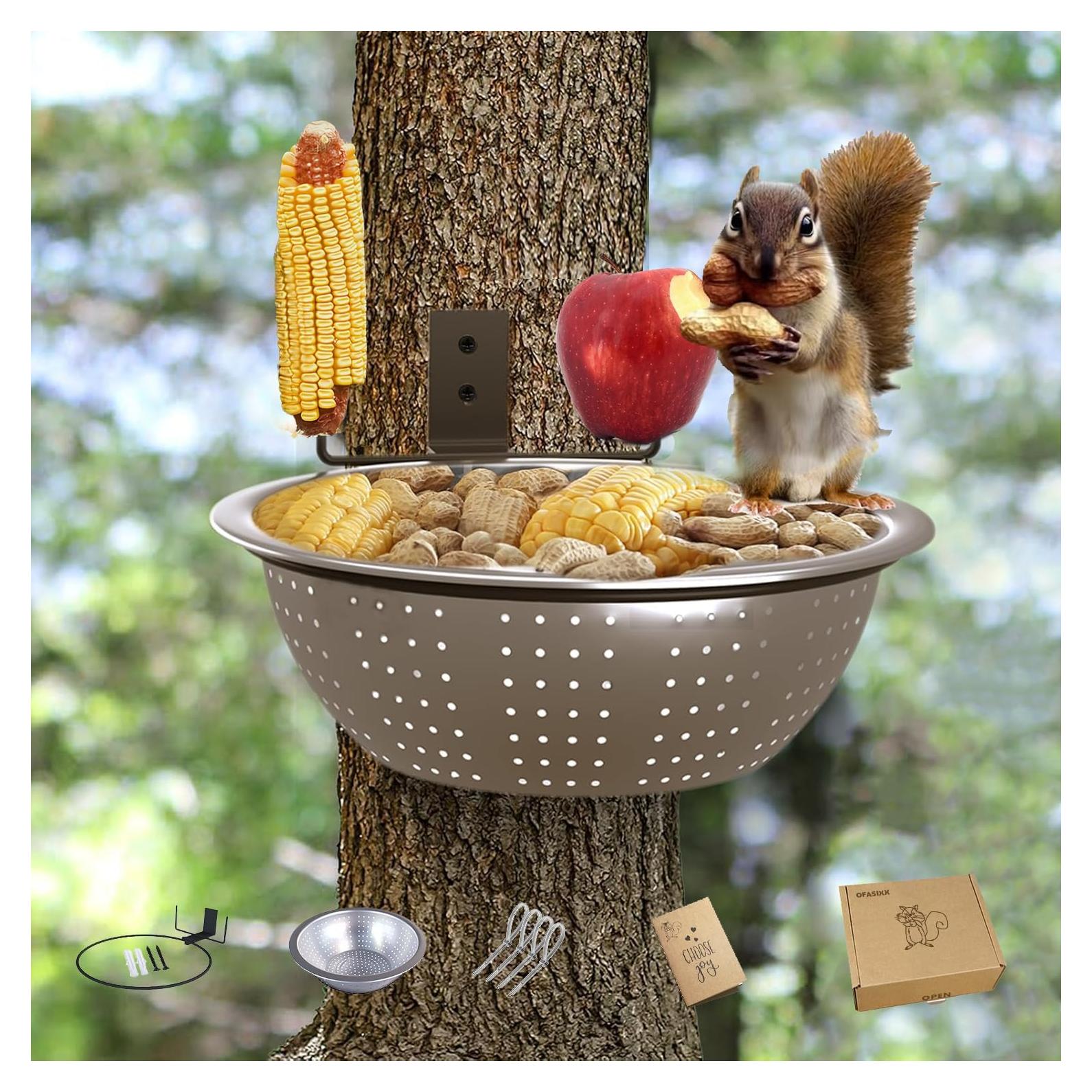 Alimentador para Ardillas Ofasixx de Metal 21.6 cm con Picos