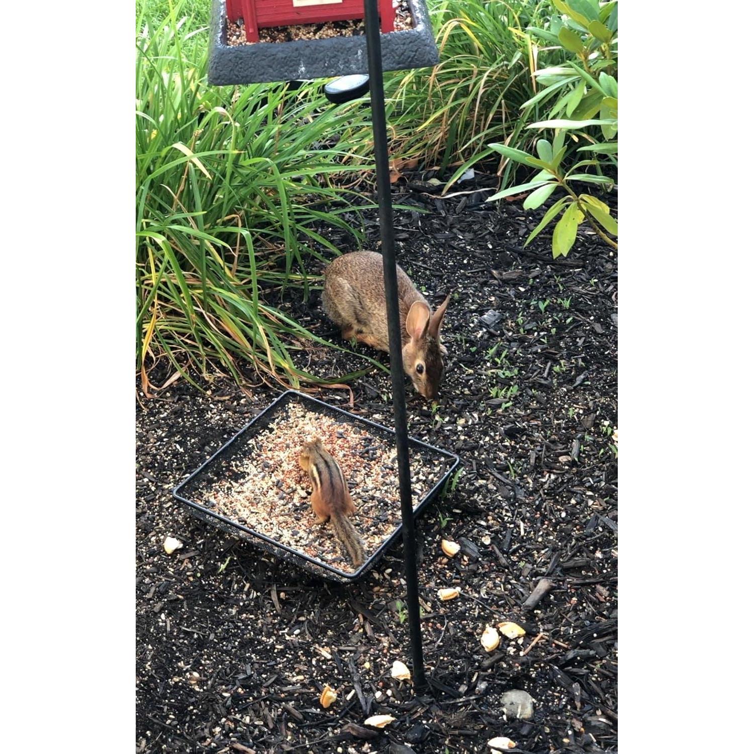 Bandeja Alimentador de Aves Aelean 20cm Metal Negra