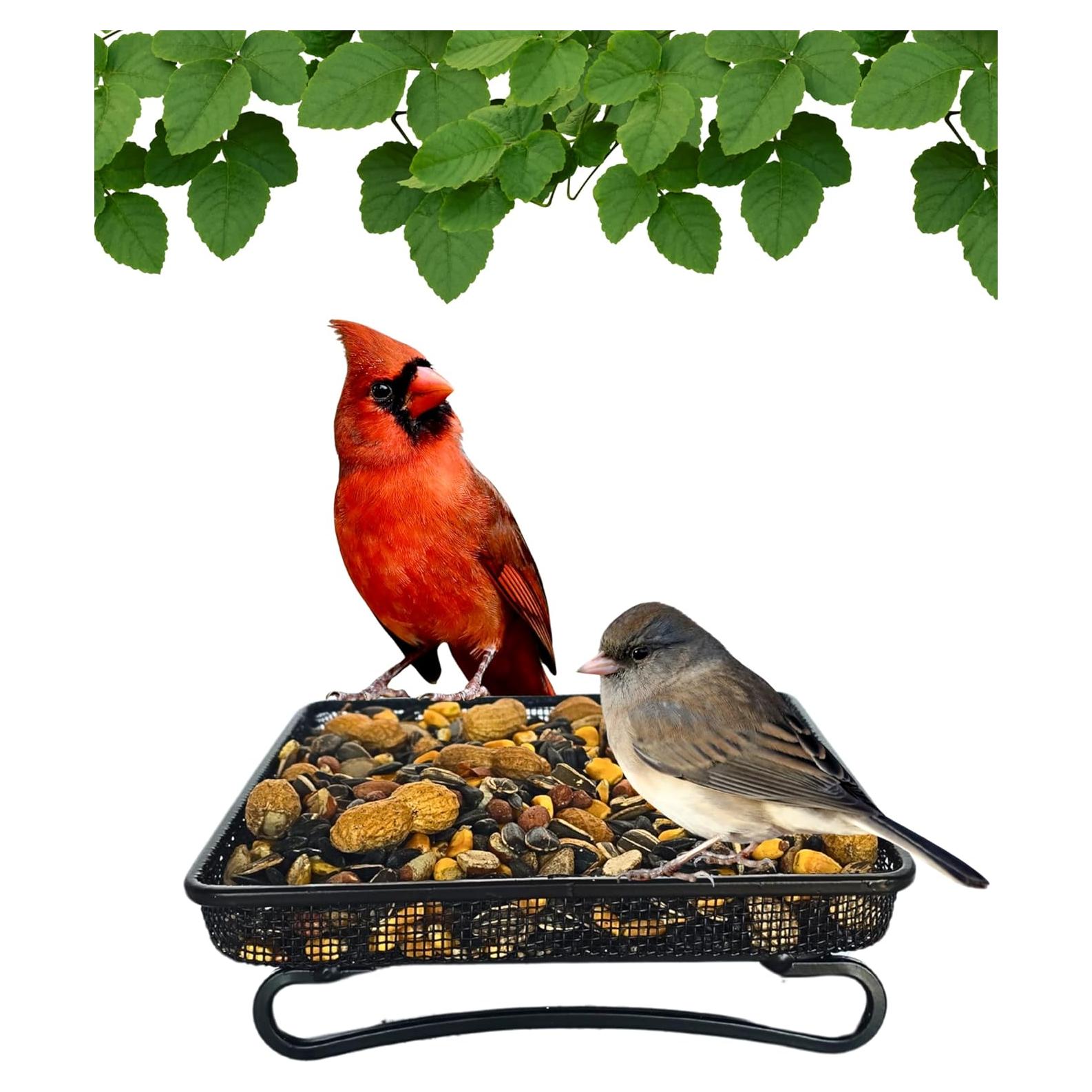 Comedero de Aves y Vida Silvestre Backyard Essentials 2 Tazas