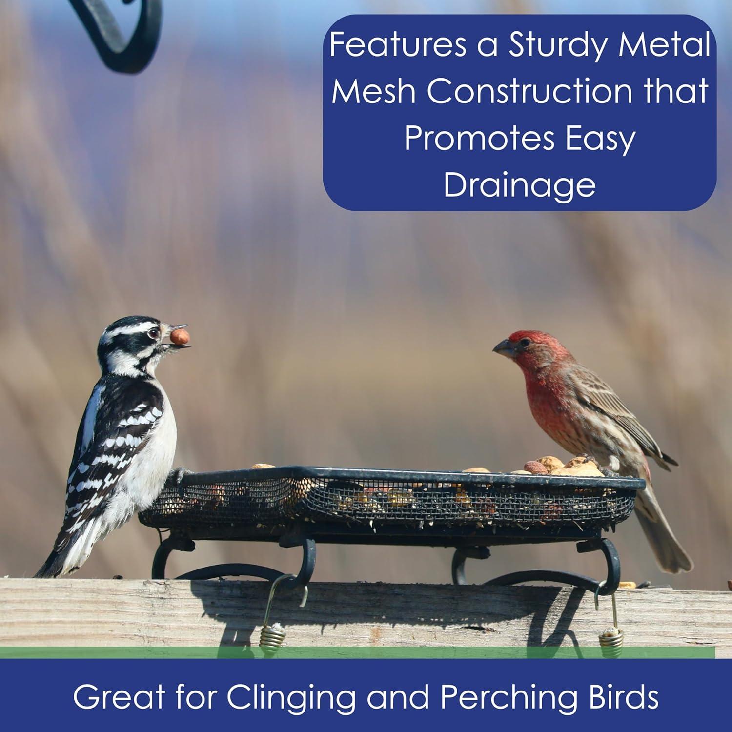 Comedero de Aves y Vida Silvestre Backyard Essentials 2 Tazas