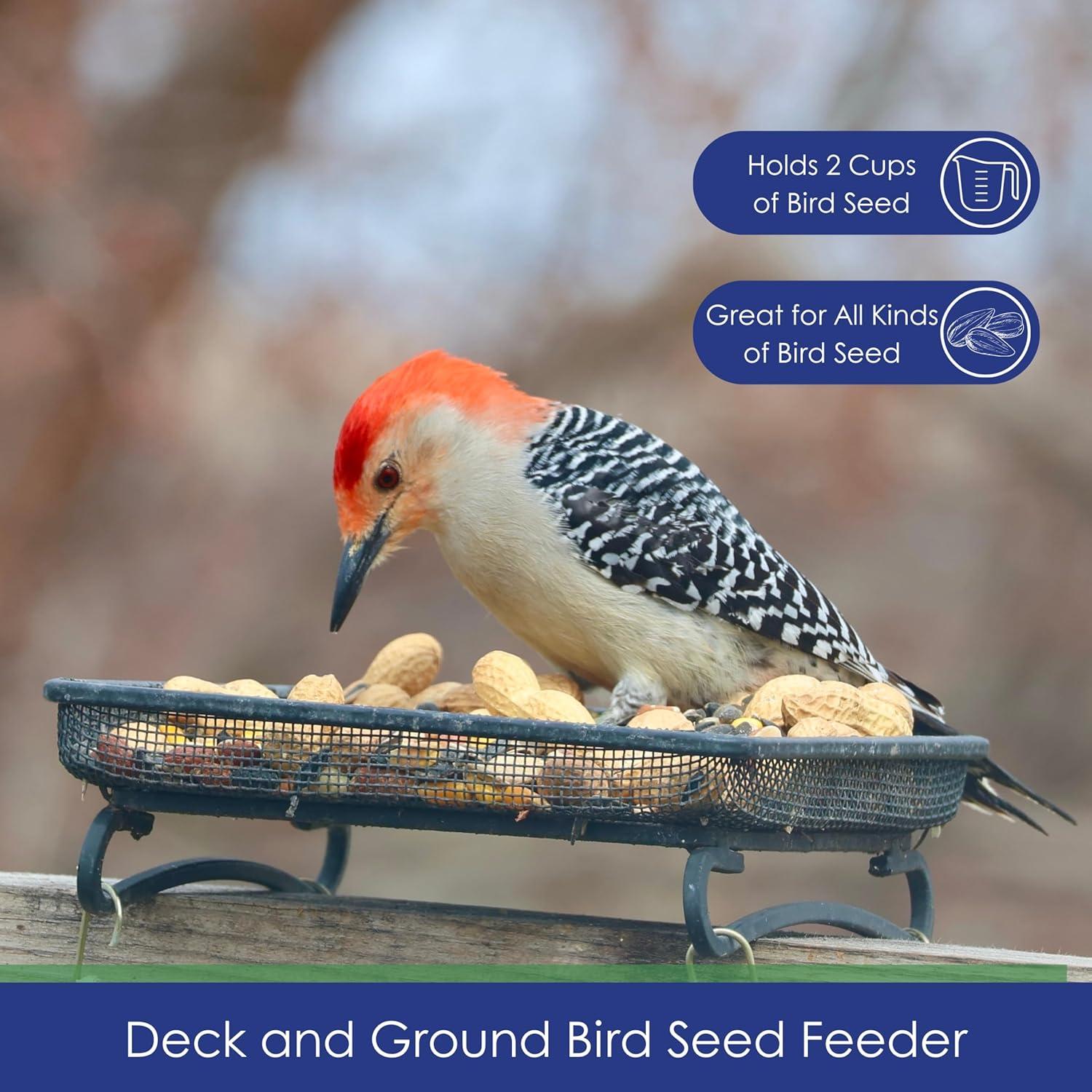 Comedero de Aves y Vida Silvestre Backyard Essentials 2 Tazas