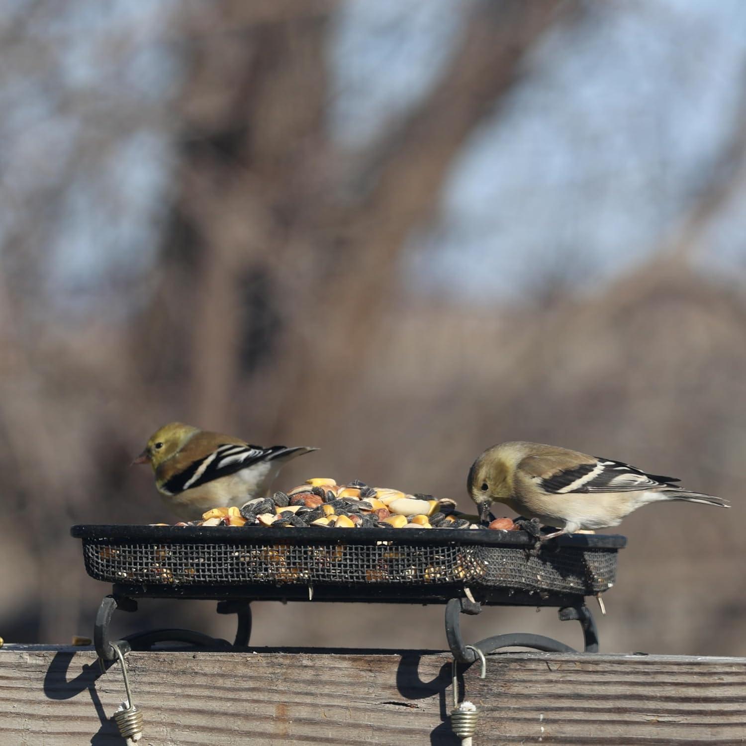 Comedero de Aves y Vida Silvestre Backyard Essentials 2 Tazas