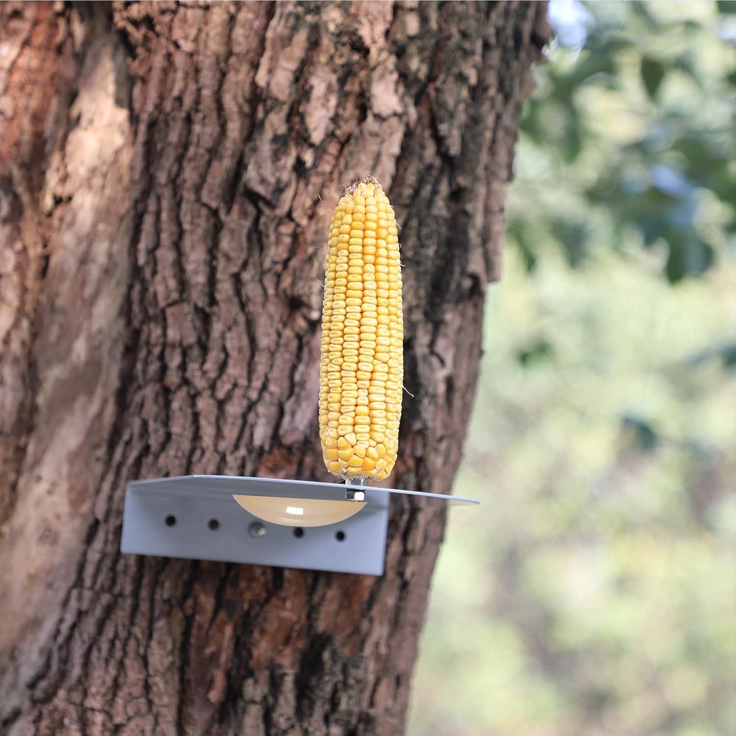 Comedero para Ardillas PFNRTH de Metal con Bandeja de Agua