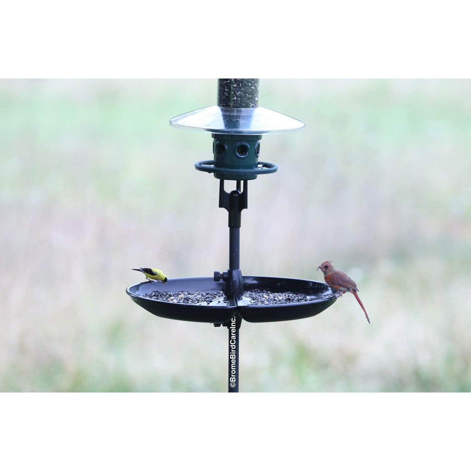 Bandeja Captadora de Semillas Brome 53.34 cm para Aves