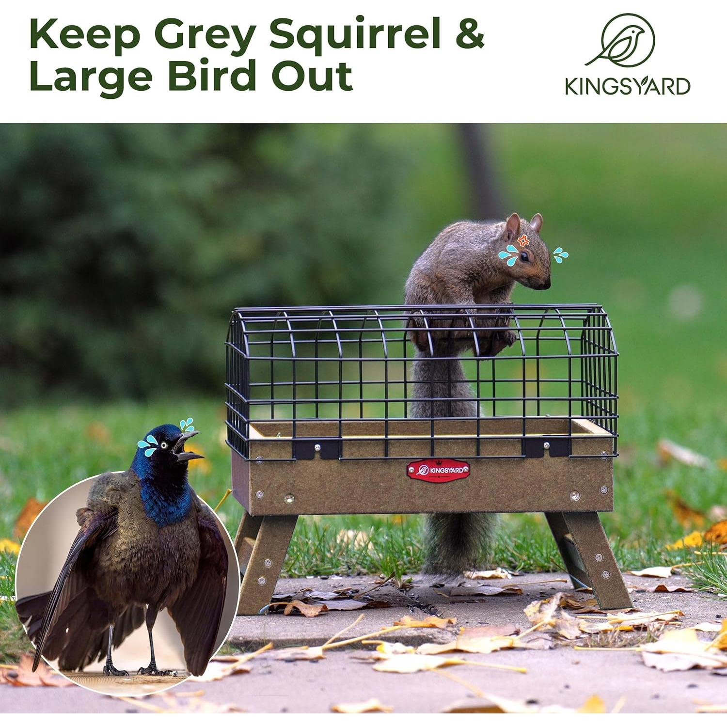 Comedero para Aves Kingsyard A Prueba de Ardillas 2.27 kg