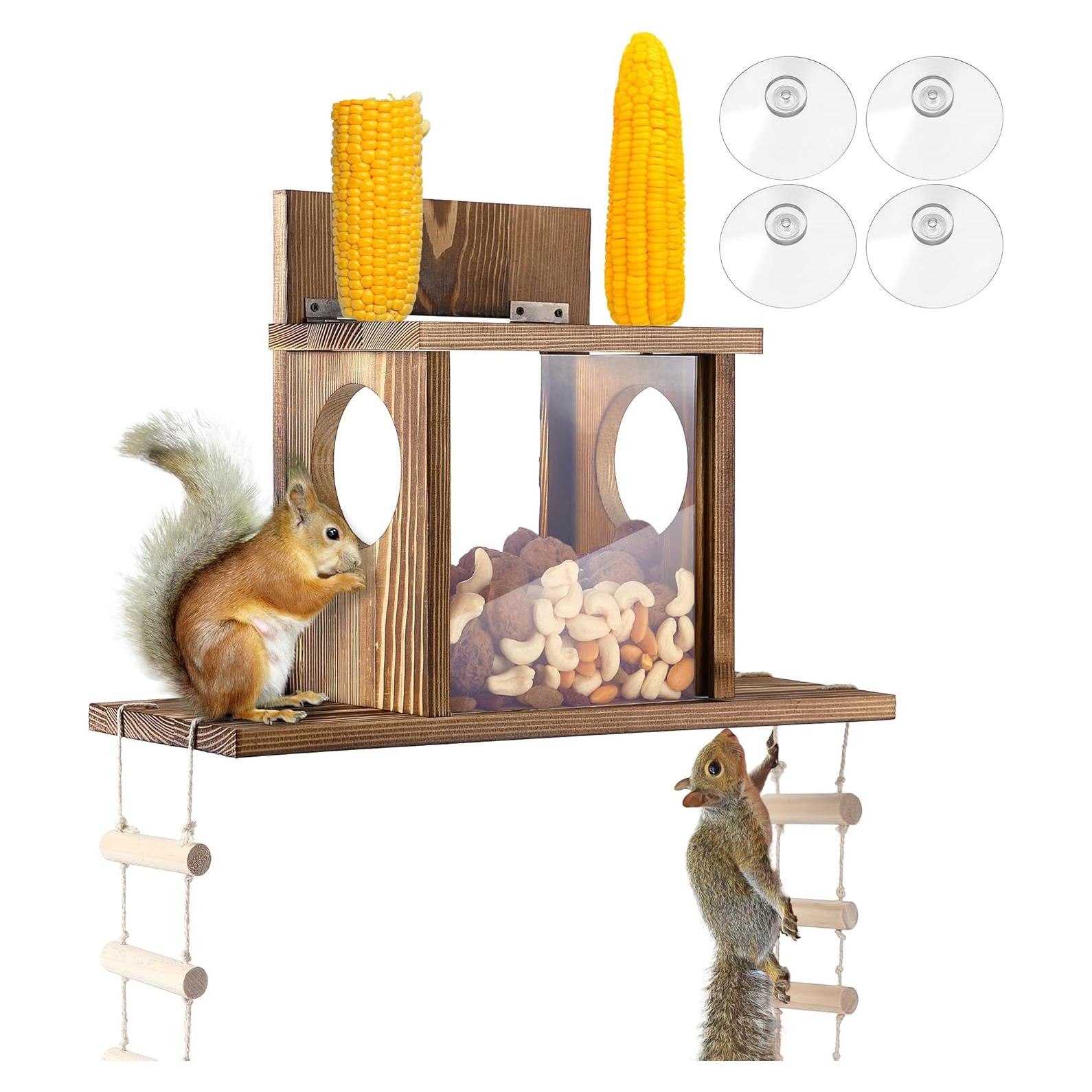 Comedero para Ardillas Enhon de Ventana con Escalera y Acrílico