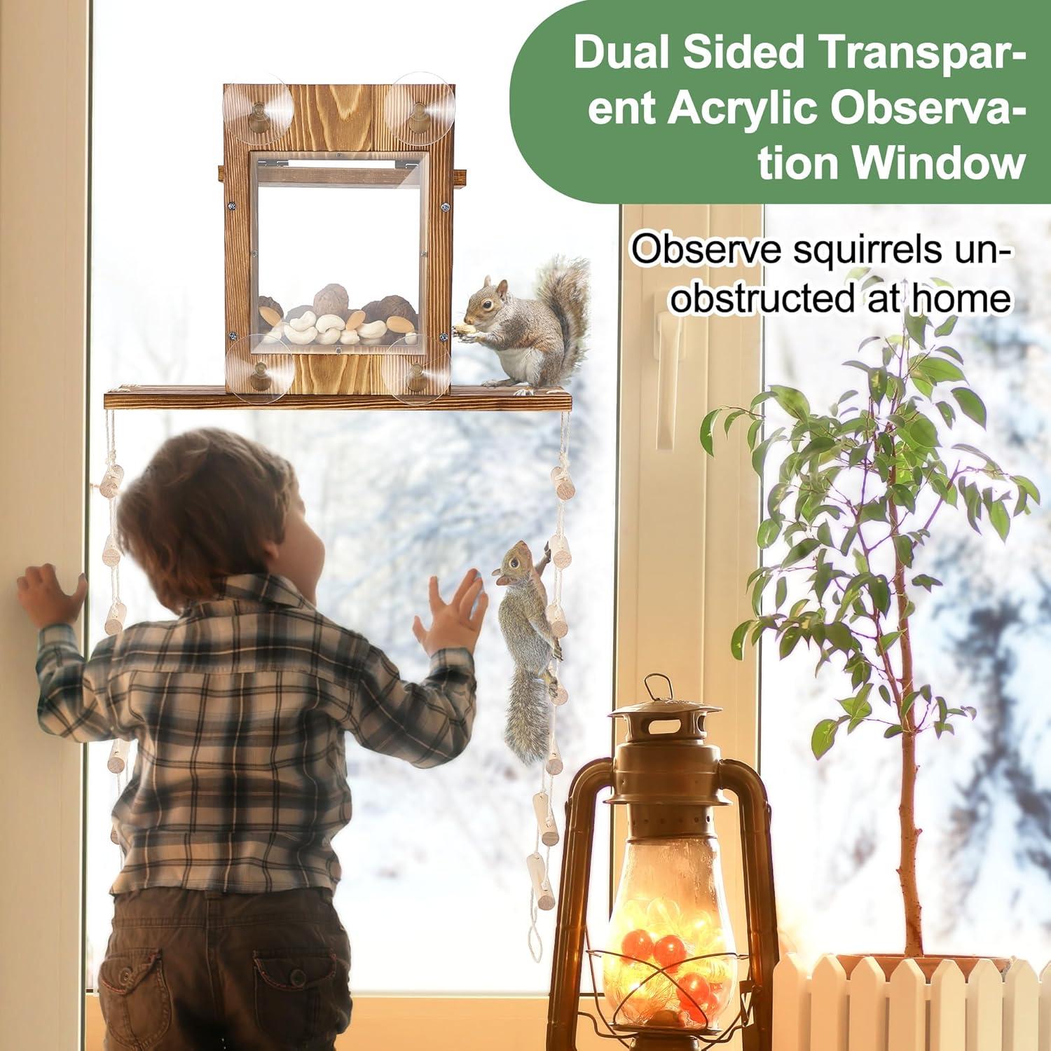 Comedero para Ardillas Enhon de Ventana con Escalera y Acrílico