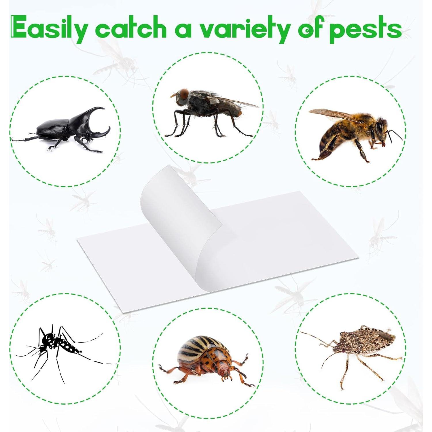 40 Tarjetas Adhesivas Kittmip para Trampas de Insectos 14.5x7.6cm