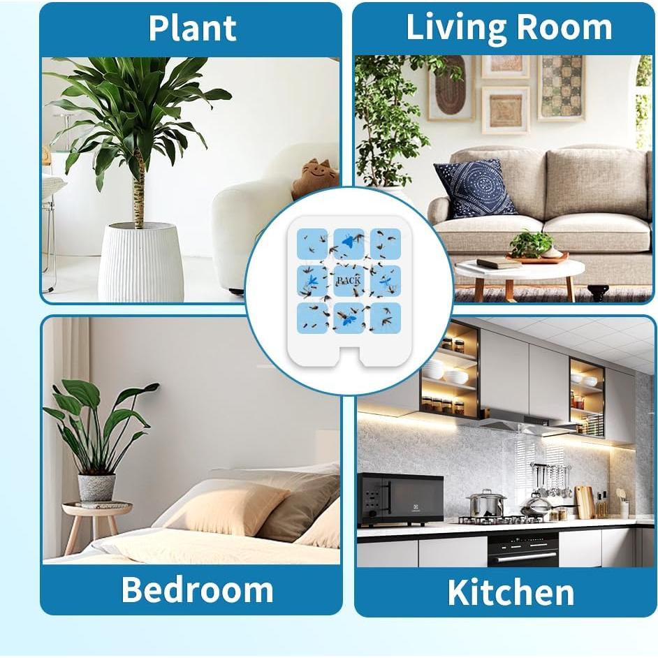 40 Tarjetas Adhesivas Reemplazo YourDaDa para Trampa Insectos