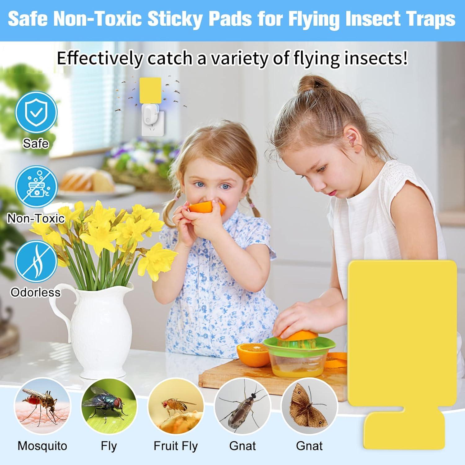 Kit de Recarga Trampa Insectos Voladores HiAnifri - 12 PCS