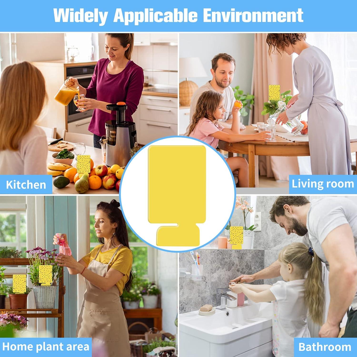 Kit de Recarga Trampa Insectos Voladores HiAnifri - 12 PCS