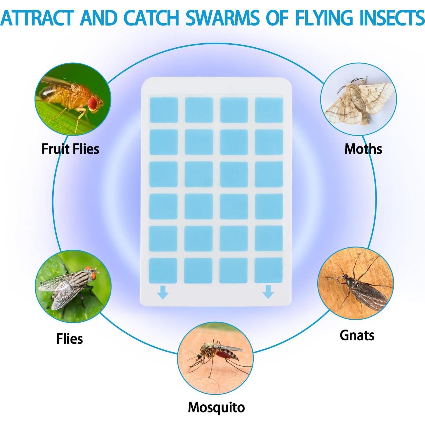 Paquete de 10 tarjetas adhesivas TOADWILL para trampa de moscas