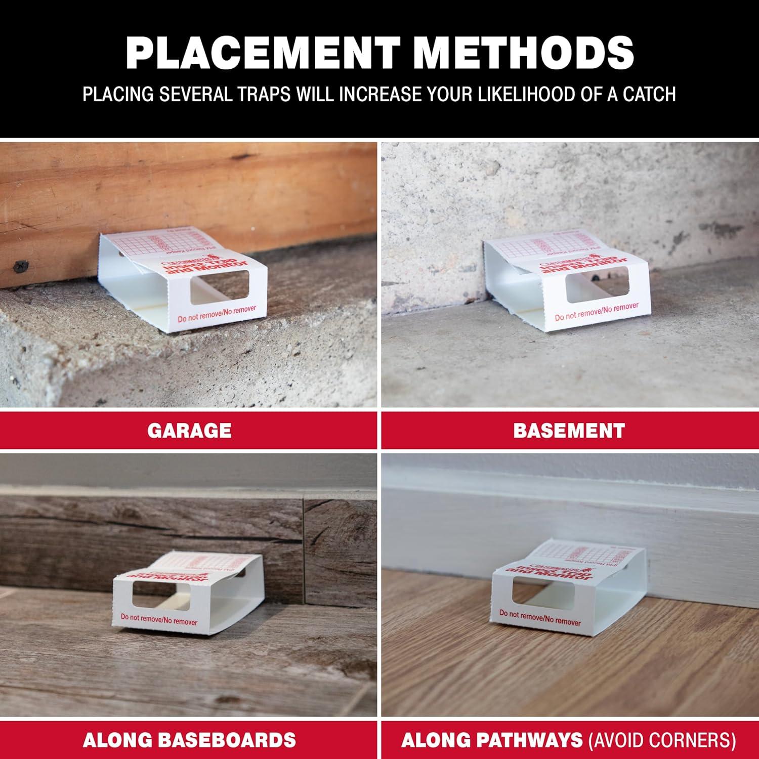 Trampas de Pegamento Catchmaster 45 Pk para Insectos y Arañas