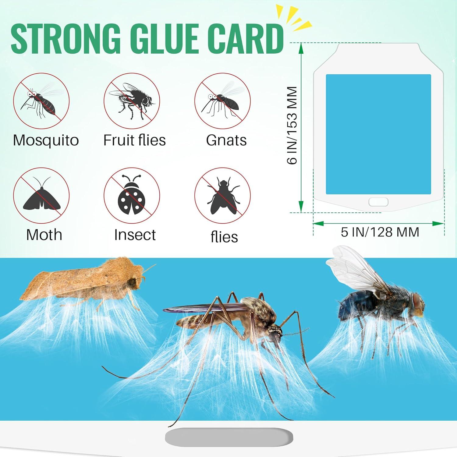 Recargas Trampa Insectos Voladores Qualirey 20 Unidades