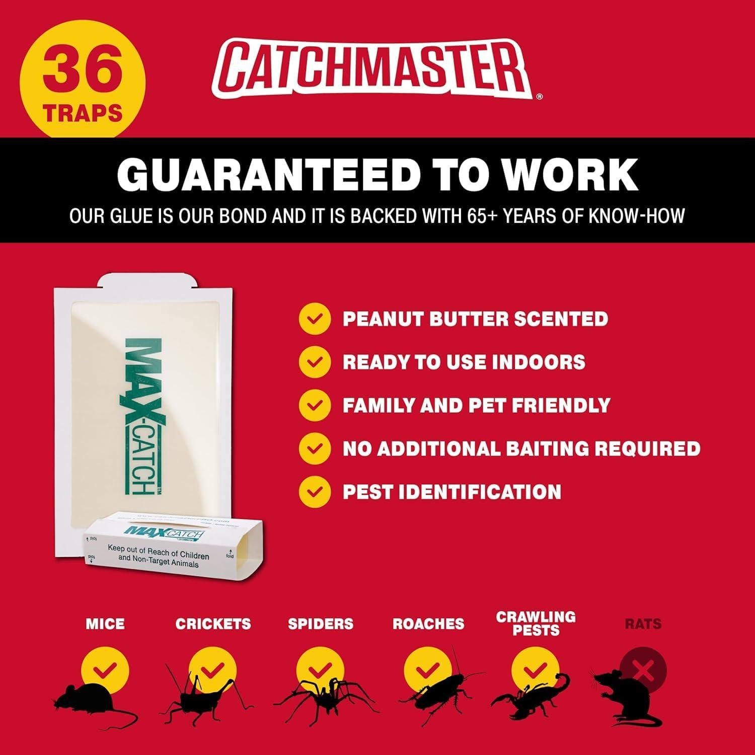 Trampa de Pegamento Catchmaster 36 Unidades para Ratones e Insectos