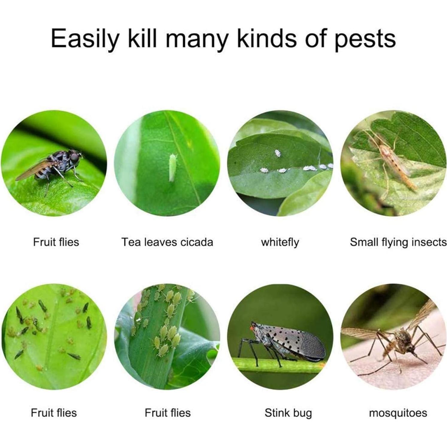 Trampas Adhesivas Amarillas Faicuk 20 Unidades para Insectos