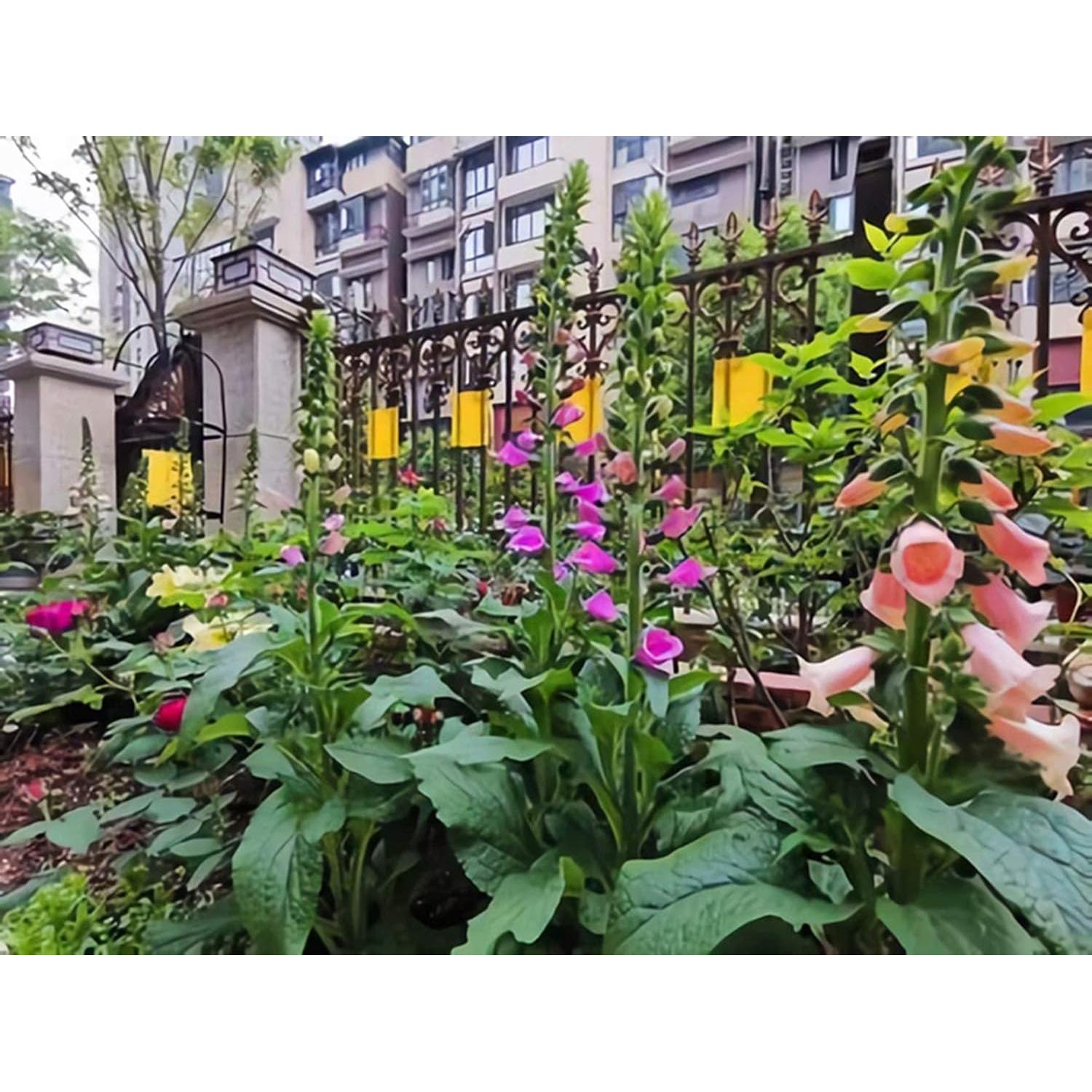 Trampas Adhesivas Amarillas Faicuk 20 Unidades para Insectos