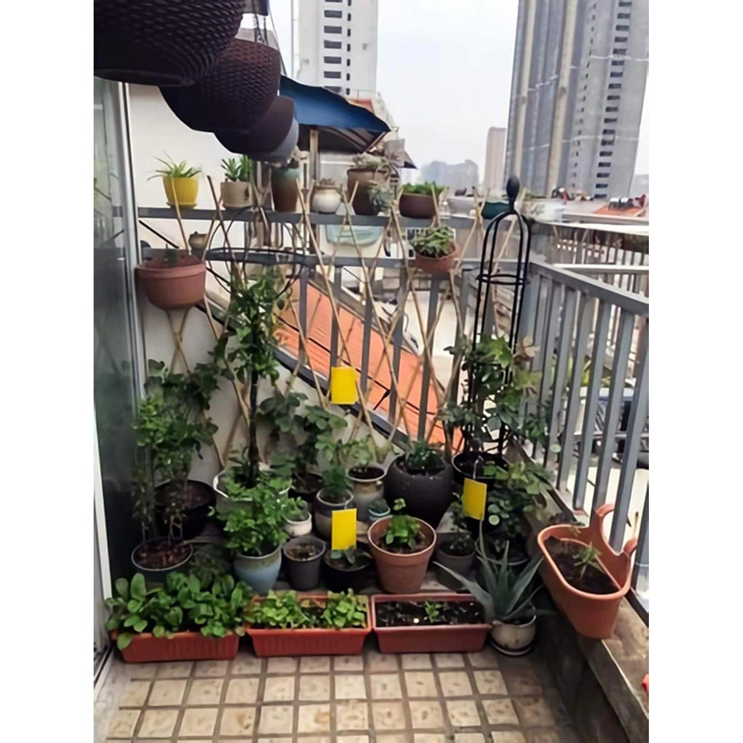 Trampas Adhesivas Amarillas Faicuk 20 Unidades para Insectos