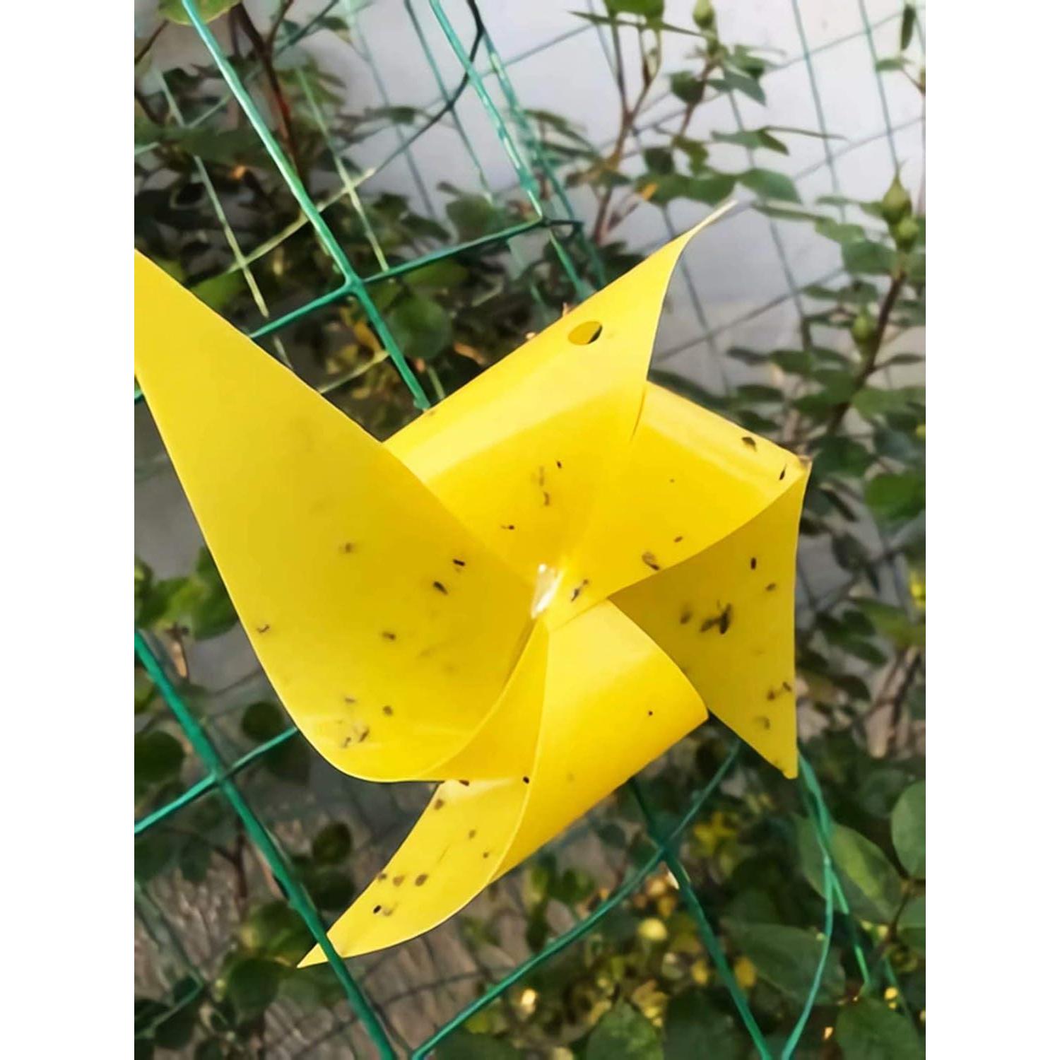 Trampas Adhesivas Amarillas Faicuk 20 Unidades para Insectos