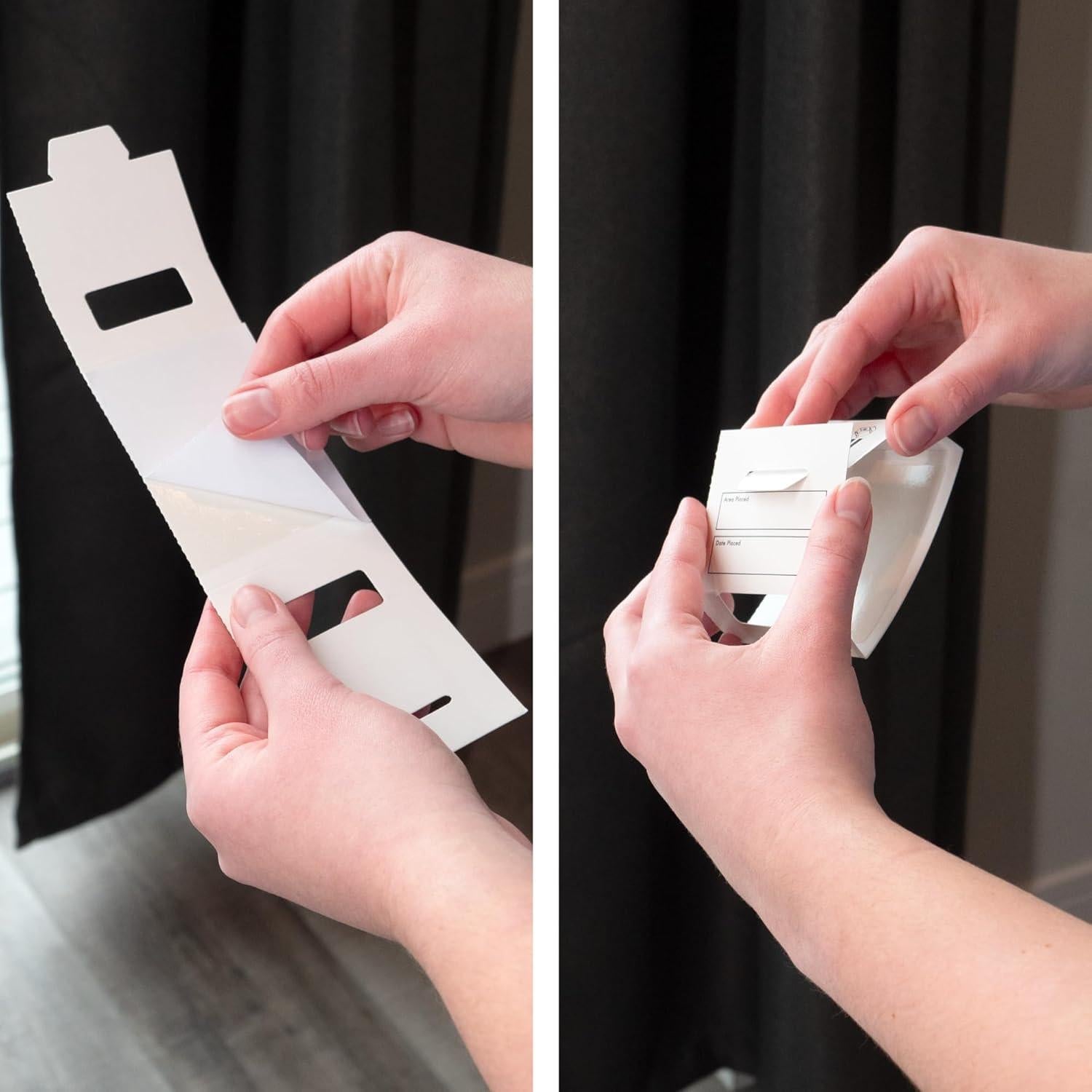 Trampas de Pegamento S&T INC. para Insectos 30 Unidades