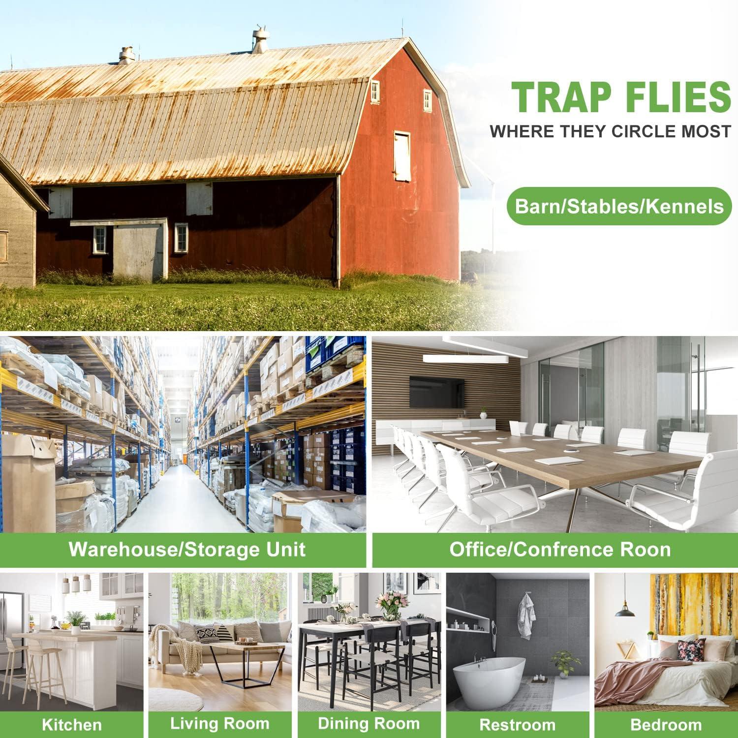 Paquete de 50 trampas para moscas LFSYS transparentes