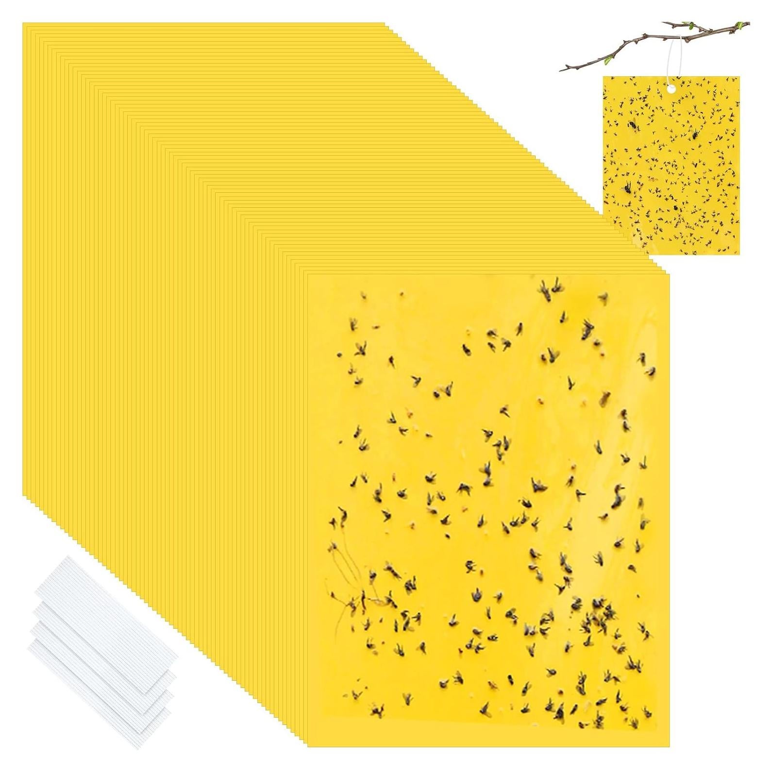 Trampas Adhesivas Doble Cara Qualirey 100 Pcs 15x20 cm Amarillo