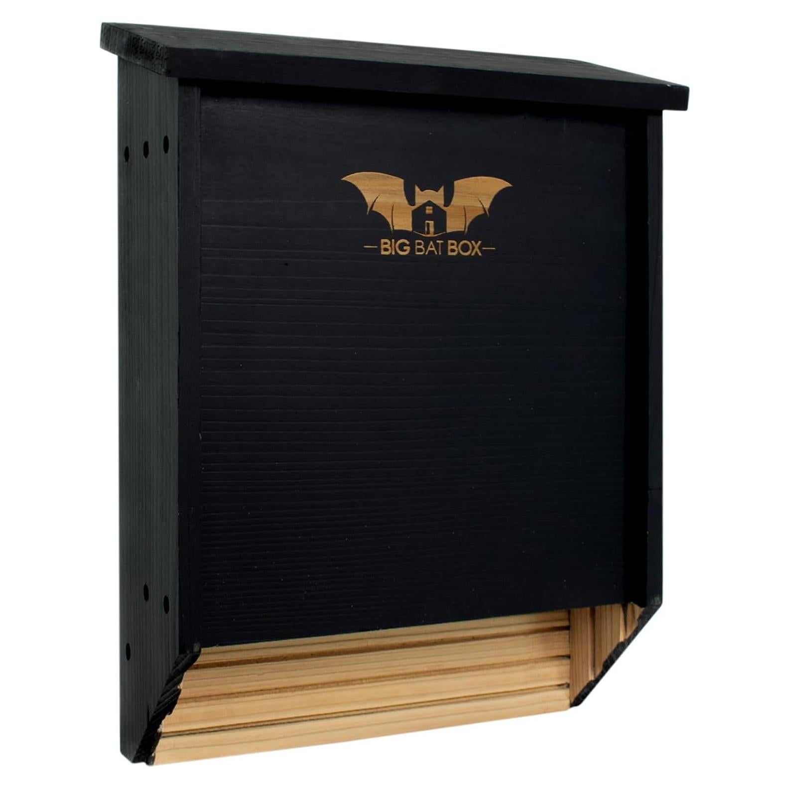 Casa de Murciélagos WildYard 2 Cámaras para Exteriores