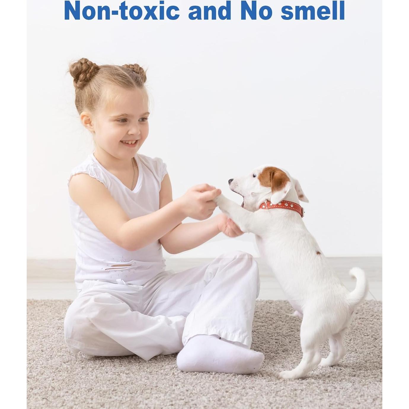 48 Tarjetas Adhesivas Reemplazo Trampa Insectos BURLAN QH009A