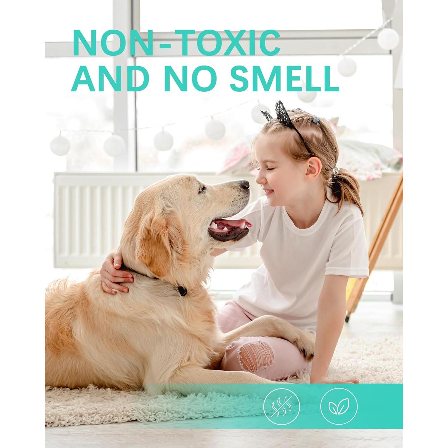 Paquete de 10 tarjetas adhesivas Dynatrap DT3007 y DT3007W