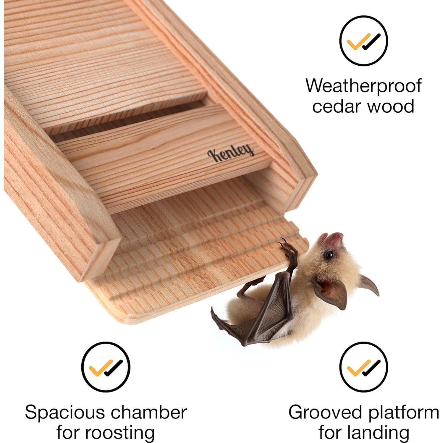 Casa de Murciélagos Kenley de Madera de Cedro - 1 Cámara