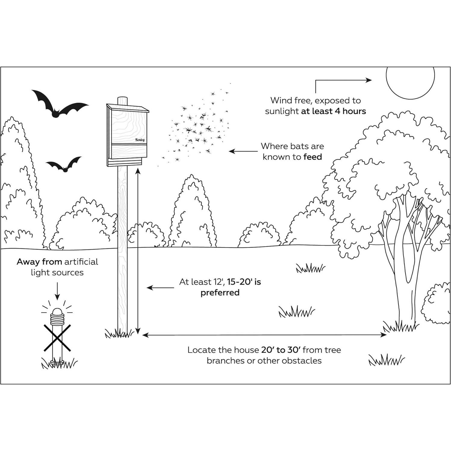 Casa de Murciélagos Kenley de Madera de Cedro - 1 Cámara
