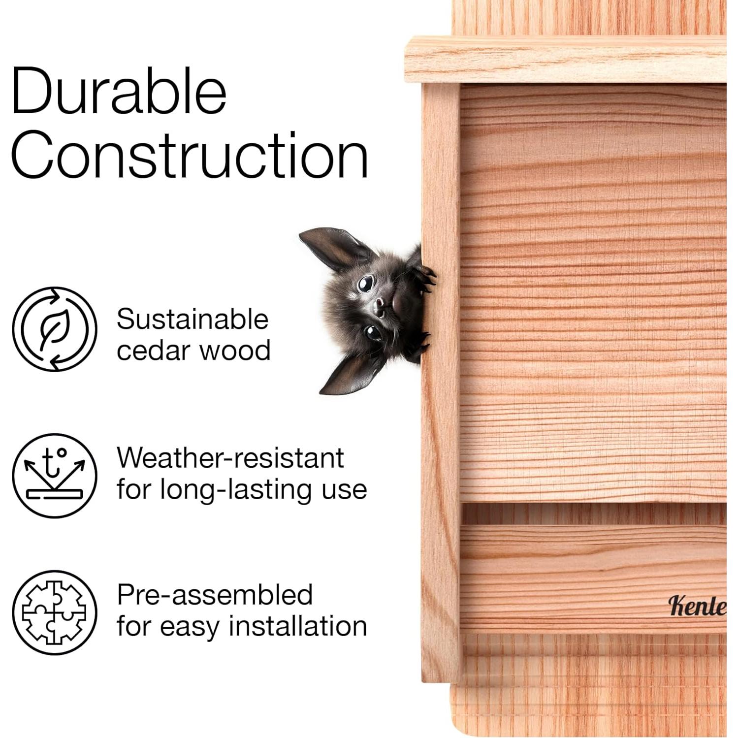 Casa de Murciélagos Kenley de Madera de Cedro - 1 Cámara