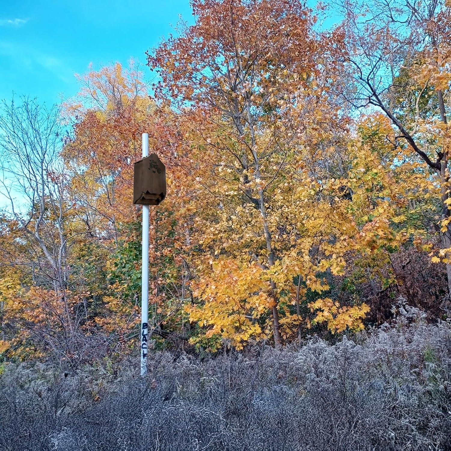 Casa de Murciélagos Mezchi de Madera de Pino para Exteriores