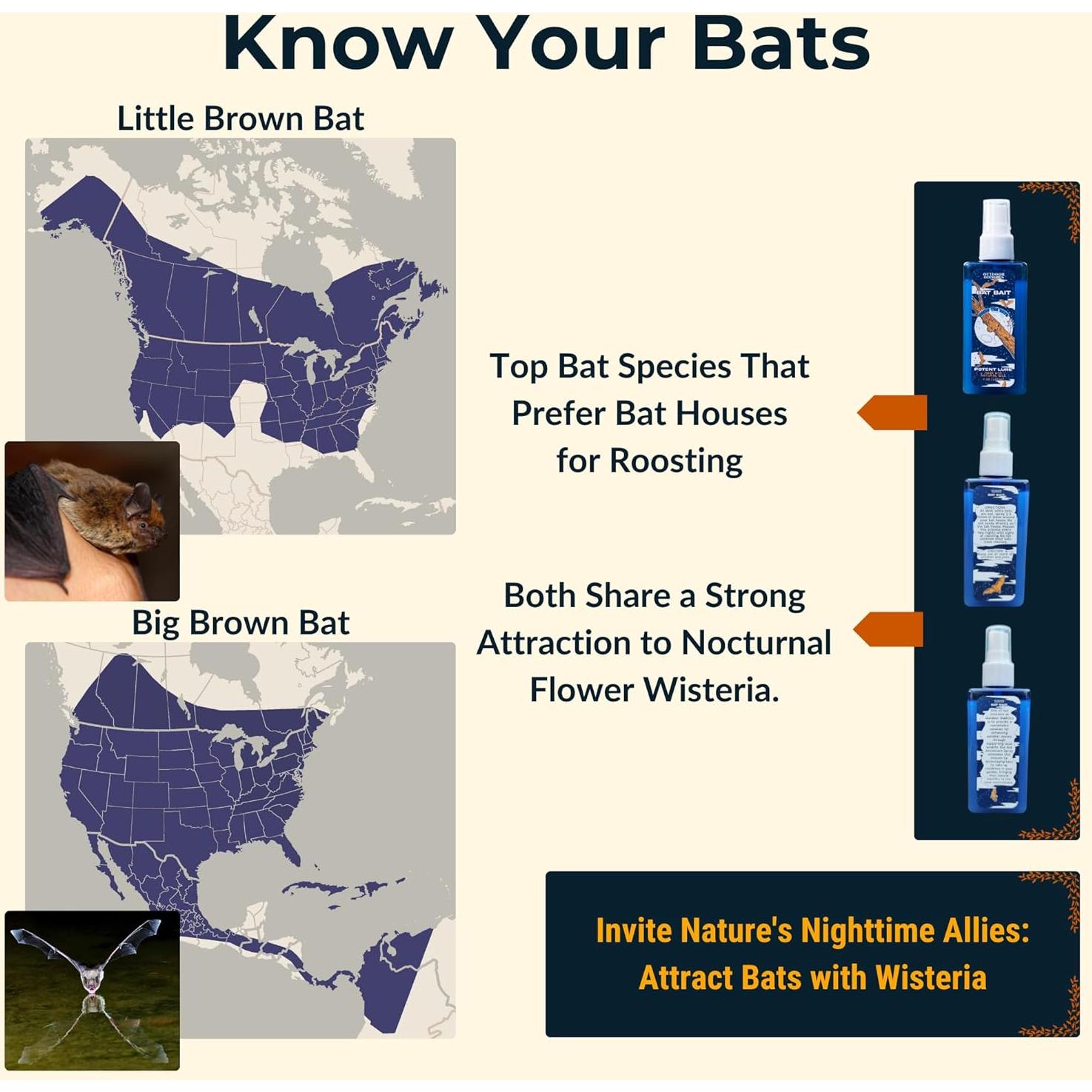 Spray Atractante de Murciélagos 118ml - Outdoor Oddities