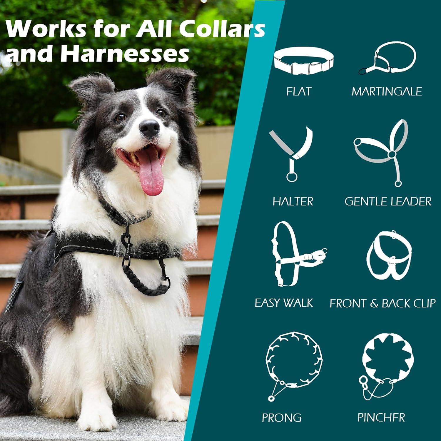 Clip de Seguridad para Collar de Perro PetBonus - Negro