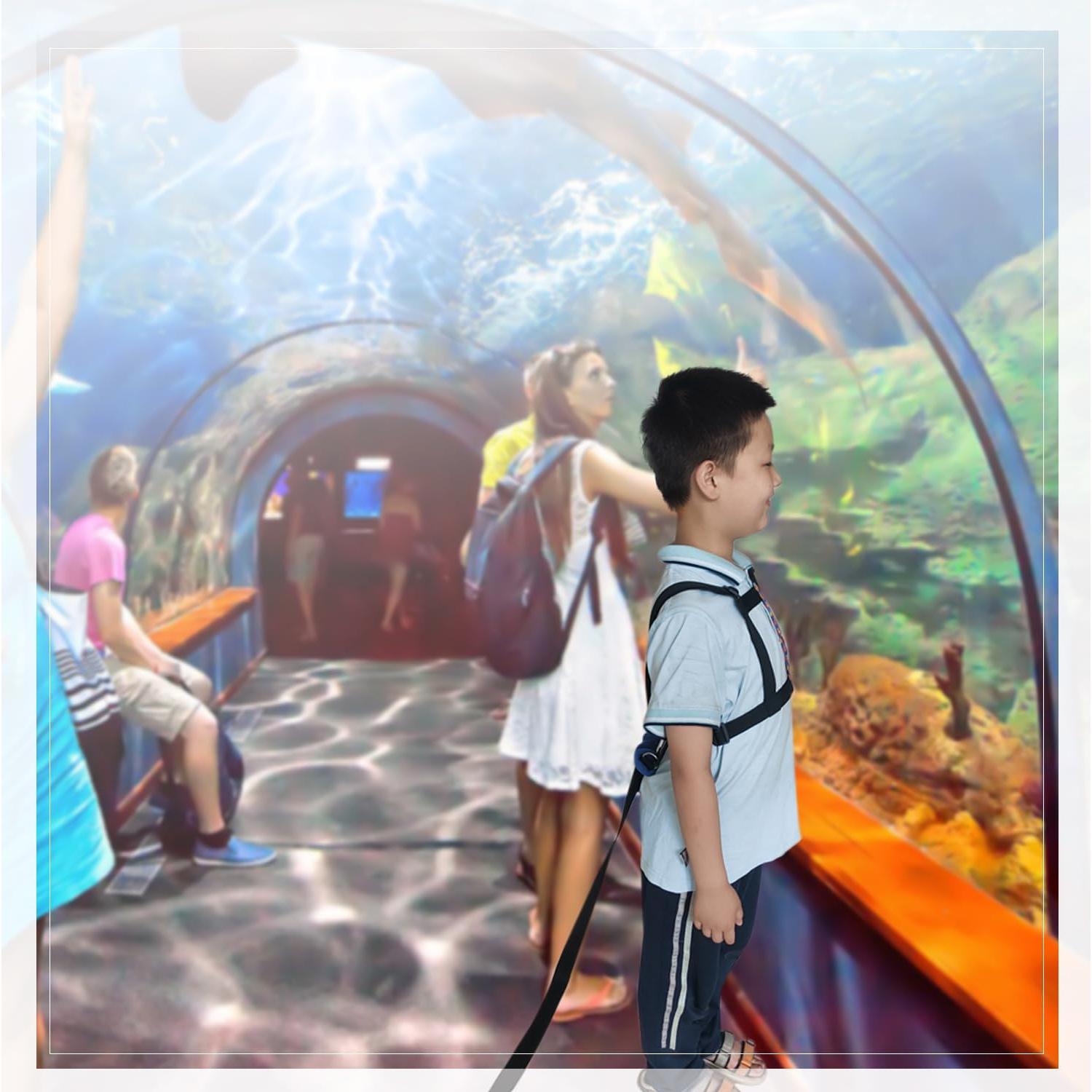 Arnés de Caminata para Niños Welsoon con Correa Ajustable