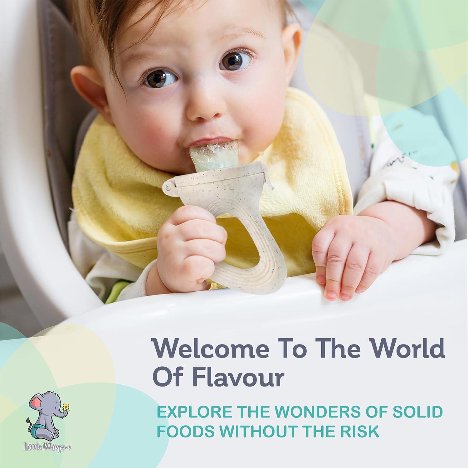 Chupete Alimentador de Frutas LittleWhispers - Set de 2